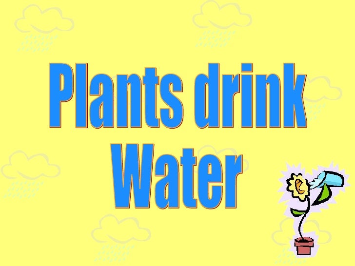 Plants need water