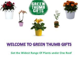 Get the Widest Range Of Plants under One Roof
 