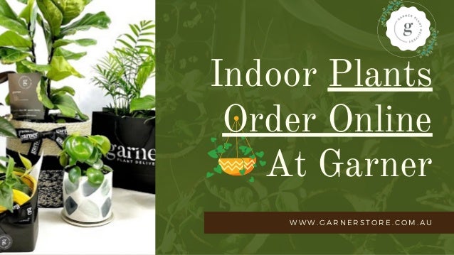W W W . G A R N E R S T O R E . C O M . A U
Indoor Plants
Order Online
At Garner
 