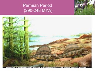 Permian Period
(290-248 MYA)

 