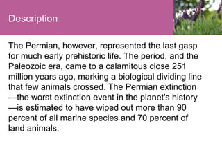 Description
The Permian, however, represented the last gasp
for much early prehistoric life. The period, and the
Paleozoic era, came to a calamitous close 251
million years ago, marking a biological dividing line
that few animals crossed. The Permian extinction
—the worst extinction event in the planet's history
—is estimated to have wiped out more than 90
percent of all marine species and 70 percent of
land animals.

 