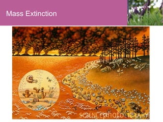 Mass Extinction

 
