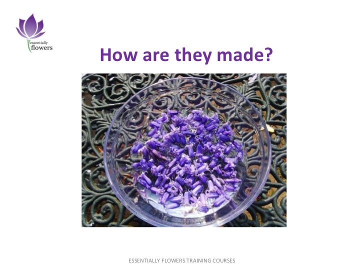 Plant spirit medicine