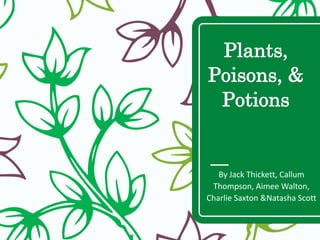 Plants,
Poisons, &
Potions
By Jack Thickett, Callum
Thompson, Aimee Walton,
Charlie Saxton &Natasha Scott
 