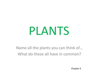 PLANTS
Name all the plants you can think of…
What do these all have in common?

Chapter 9

 