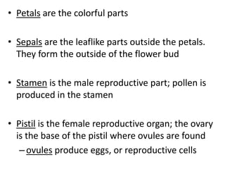 • Petals are the colorful parts
• Sepals are the leaflike parts outside the petals.
They form the outside of the flower bud
• Stamen is the male reproductive part; pollen is
produced in the stamen
• Pistil is the female reproductive organ; the ovary
is the base of the pistil where ovules are found
– ovules produce eggs, or reproductive cells

 
