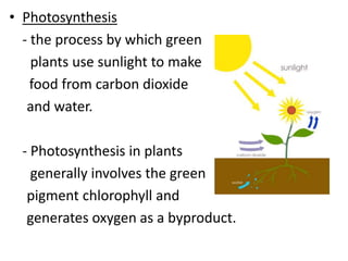 • Photosynthesis
- the process by which green
plants use sunlight to make
food from carbon dioxide
and water.

- Photosynthesis in plants
generally involves the green
pigment chlorophyll and
generates oxygen as a byproduct.

 