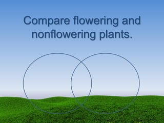 Compare flowering and
nonflowering plants.
 