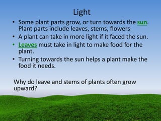 Light
• Some plant parts grow, or turn towards the sun.
Plant parts include leaves, stems, flowers
• A plant can take in more light if it faced the sun.
• Leaves must take in light to make food for the
plant.
• Turning towards the sun helps a plant make the
food it needs.
Why do leave and stems of plants often grow
upward?
 