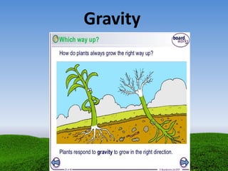 Gravity
 