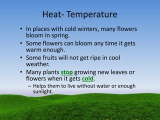 Heat- Temperature
• In places with cold winters, many flowers
bloom in spring.
• Some flowers can bloom any time it gets
warm enough.
• Some fruits will not get ripe in cool
weather.
• Many plants stop growing new leaves or
flowers when it gets cold.
– Helps them to live without water or enough
sunlight.
 