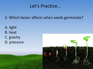 2. Which factor affects when seeds germinate?
A. light
B. heat
C. gravity
D. pressure
Let’s Practice…
 