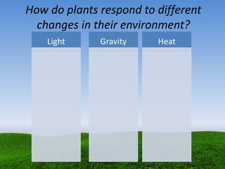 How do plants respond to different
changes in their environment?
Light Gravity Heat
 