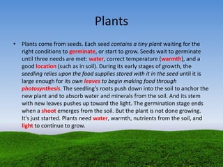 Plants
• Plants come from seeds. Each seed contains a tiny plant waiting for the
right conditions to germinate, or start to grow. Seeds wait to germinate
until three needs are met: water, correct temperature (warmth), and a
good location (such as in soil). During its early stages of growth, the
seedling relies upon the food supplies stored with it in the seed until it is
large enough for its own leaves to begin making food through
photosynthesis. The seedling's roots push down into the soil to anchor the
new plant and to absorb water and minerals from the soil. And its stem
with new leaves pushes up toward the light. The germination stage ends
when a shoot emerges from the soil. But the plant is not done growing.
It's just started. Plants need water, warmth, nutrients from the soil, and
light to continue to grow.
 
