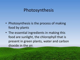 Photosynthesis
• Photosynthesis is the process of making
food by plants
• The essential ingredients in making this
food are sunlight, the chlorophyll that is
present in green plants, water and carbon
dioxide in the air.
 