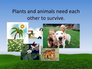 Plants and animals need each
other to survive.
 