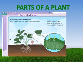 Office of Academics - Department of Science
 