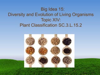 Big Idea 15:
Diversity and Evolution of Living Organisms
Topic XIV:
Plant Classification SC.3.L.15.2
 