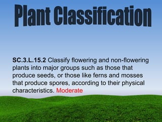 SC.3.L.15.2 Classify flowering and non-flowering
plants into major groups such as those that
produce seeds, or those like ferns and mosses
that produce spores, according to their physical
characteristics. Moderate
 