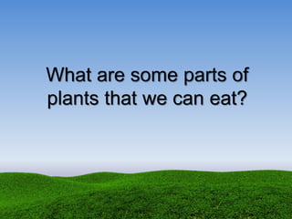 What are some parts of
plants that we can eat?
 