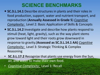 SCIENCE BENCHMARKS
 SC.3.L.14.1 Describe structures in plants and their roles in
food production, support, water and nutrient transport, and
reproduction (Annually Assessed in Grade 5) Cognitive
Complexity: Level 2: Basic Application of Skills & Concepts
 SC.3.L.14.2 Investigate and describe how plants respond to
stimuli (heat, light, gravity), such as the way plant stems
grow toward light and their roots grow downward in
response to gravity.(Assessed as SC.3.L.14.1 AA) Cognitive
Complexity: Level 3: Strategic Thinking & Complex
Reasoning
• SC.3.L.17.2 Recognize that plants use energy from the Sun,
air, and water to make their own food.
• Cognitive Complexity: Level 1: Recall
Office of Academics - Department of Science
 