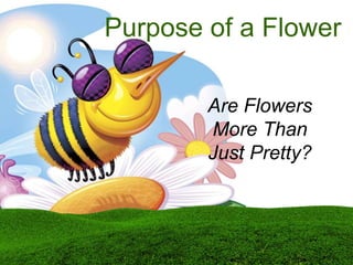 Purpose of a Flower
Are Flowers
More Than
Just Pretty?
 