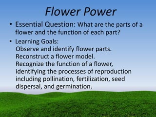 Flower Power
• Essential Question: What are the parts of a
flower and the function of each part?
• Learning Goals:
Observe and identify flower parts.
Reconstruct a flower model.
Recognize the function of a flower,
identifying the processes of reproduction
including pollination, fertilization, seed
dispersal, and germination.
 