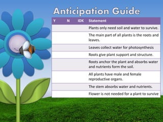 Y N IDK Statement
Plants only need soil and water to survive.
The main part of all plants is the roots and
leaves.
Leaves collect water for photosynthesis
Roots give plant support and structure.
Roots anchor the plant and absorbs water
and nutrients form the soil.
All plants have male and female
reproductive organs.
The stem absorbs water and nutrients.
Flower is not needed for a plant to survive
 