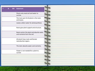 Y N IDK Statement
Plants only need soil and water to
survive.
The main part of all plants is the roots
and leaves.
Leaves collect water for photosynthesis
Roots give plant support and structure.
Roots anchor the plant and absorbs water
and nutrients form the soil.
All plants have male and female
reproductive organs.
The stem absorbs water and nutrients.
Flower is not needed for a plant to
survive
 