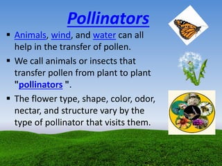 Pollinators
 Animals, wind, and water can all
help in the transfer of pollen.
 We call animals or insects that
transfer pollen from plant to plant
"pollinators ".
 The flower type, shape, color, odor,
nectar, and structure vary by the
type of pollinator that visits them.
 