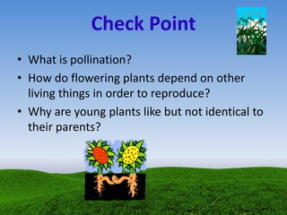 Check Point
• What is pollination?
• How do flowering plants depend on other
living things in order to reproduce?
• Why are young plants like but not identical to
their parents?
 