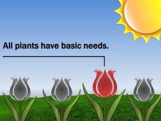 All plants have basic needs.
 