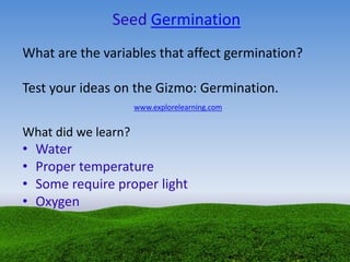 Seed Germination
What are the variables that affect germination?
Test your ideas on the Gizmo: Germination.
www.explorelearning.com
What did we learn?
• Water
• Proper temperature
• Some require proper light
• Oxygen
 