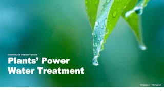 11
CORPORATE PRESENTATION
Plants’ Power
Water Treatment
Singapore • Bangkok
 