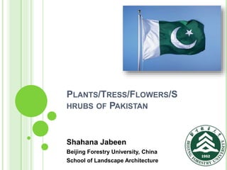PLANTS/TRESS/FLOWERS/S
HRUBS OF PAKISTAN
Shahana Jabeen
Beijing Forestry University, China
School of Landscape Architecture
 