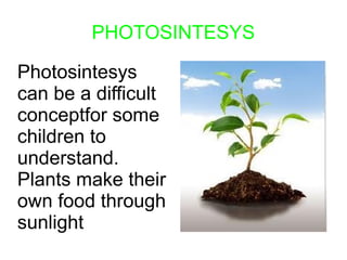 PHOTOSINTESYS

Photosintesys
can be a difficult
conceptfor some
children to
understand.
Plants make their
own food through...