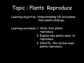 Topic : Plants Reproduce
Learning objective: Understanding life processes
                     that plants undergo.

Learning outcomes: 1. State that plants
                      reproduce.
                  2. Explain why plants need to
                      reproduce.
                  3. Identify the various ways
                      plants reproduce.
 