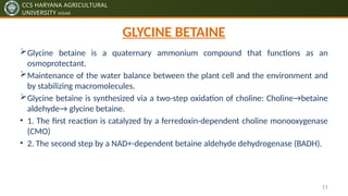 Plants Response to Abiotic Stresses pptx by ankit dhillon | PPTX