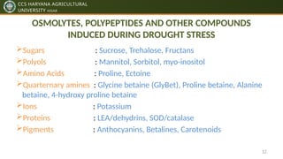 Plants Response to Abiotic Stresses pptx by ankit dhillon | PPTX