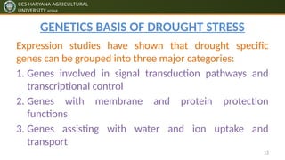 Plants Response to Abiotic Stresses pptx by ankit dhillon | PPTX