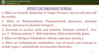 Plants Response to Abiotic Stresses pptx by ankit dhillon | PPTX
