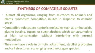 Plants Response to Abiotic Stresses pptx by ankit dhillon | PPTX