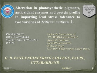 06/08/17 1
Alteration in photosynthetic pigments,
antioxidant enzymes and protein profile
in imparting lead stress tolerance to
two varieties of Triticum aestivum L.
G. B. PANT ENGINEERING COLLEGE, PAURI ,
UTTARAKHAND
PRESENTED BYPRESENTED BY
DIVYA SRIVASTAVADIVYA SRIVASTAVA
M.TECH BIOTECHNOLOGYM.TECH BIOTECHNOLOGY
IV SEMIV SEM
Under the Supervision ofUnder the Supervision of
DR. MAMTA BAUNTHIYALDR. MAMTA BAUNTHIYAL
Associate ProfessorAssociate Professor
Head Of DepartmentHead Of Department
BiotechnologyBiotechnology
G. B. Pant Engineering College, Pauri.G. B. Pant Engineering College, Pauri.
06/08/17 1
 