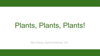 Plants, Plants, Plants!
Mia Taskey, Natural Science, 3rd
 