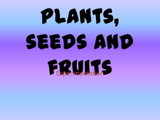 Plants,
seeds and
fruits
Experimentation

 