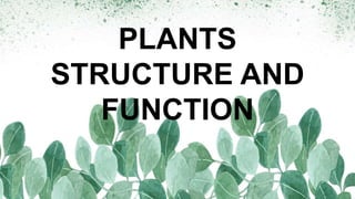 PLANTS
STRUCTURE AND
FUNCTION
 