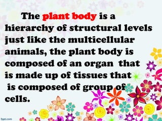 The plant body is a
hierarchy of structural levels
just like the multicellular
animals, the plant body is
composed of an organ that
is made up of tissues that
is composed of group of
cells.
 