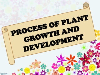 PROCESS OF PLANT
GROWTH AND
DEVELOPMENT
 