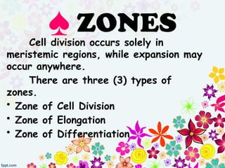 Cell division occurs solely in
meristemic regions, while expansion may
occur anywhere.
There are three (3) types of
zones.
• Zone of Cell Division
• Zone of Elongation
• Zone of Differentiation
♠ ZONES
 