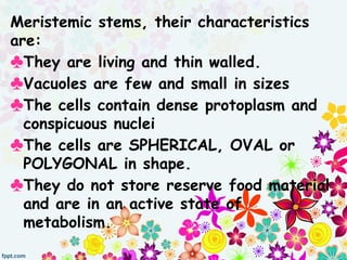 Meristemic stems, their characteristics
are:
♣They are living and thin walled.
♣Vacuoles are few and small in sizes
♣The cells contain dense protoplasm and
conspicuous nuclei
♣The cells are SPHERICAL, OVAL or
POLYGONAL in shape.
♣They do not store reserve food material
and are in an active state of
metabolism.
 